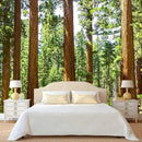 WFBHUA-Redwood Forest Wallpaper Green Woodland Tree Wallpaper for Bedroom Large Art Wall Murals for Living Room Office (Not Peel and Stick) by CozyNest Decor