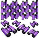 Libima 24 Pcs Binoculars for Kids Educational Compact Kids Binoculars with Neck String Toddler Telescope for Boys Girls Learning Bird Watching Camping Hiking Travel Safaris Birthday Gifts(Purple) by TinyTreasures Baby Boutique