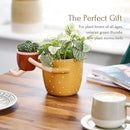 VIRTUNE Adorable Plant Pots. 5" Flower Pot & 2" Small Pot with Drainage. Gifts for Plant Lovers, Indoor Planters, Small Plant Pots, Cute Pots (Mustard) by GreenHaven Gardens