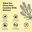 Pronounce Laundry Detergent Powder Alternative | Earth-Derived Ingredients, Eco-Friendly, Safer for Sensitive Skin, Eczema, and Babies. Stain + Smell Fighting. HE Safe (Lemon, 120 Loads). by TinyTreasures Baby Boutique