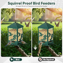 Squirrel Proof Bird Feeders for Outdoors, 6LBS Extra Large Capacity Hanging Metal Bird Feeder with Weight-Activated Perches, Wild Bird Feeders for Outside Finch, Cardinal, Blue Jay by GreenHaven Gardens