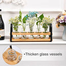 Plant Propagation Stations with Wood Stand, Desktop Plant Terrarium for Propagating Hydroponic, Flower Vase for Home Kitchen Office Decor, Plant Lover Gifts by GreenHaven Gardens