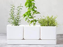 D'vine Dev Herb Garden Planter Set, Plastic Plant Pots with Drainage and Saucer, Indoor Succulent Cactus Vegetable Pot for Windowsill, Garden Balcony, White, Set of 2, 76-V-A-2 by GreenHaven Gardens