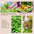 Hydroponics Growing System kit, Vertical hydroponic Garden ，Outdoor Indoor hydroponics Growing System，Lettuce Grow Tower,Pump System, Auto Timer, 30 Pods,Gardening Gift by GreenHaven Gardens