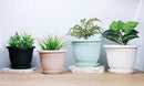 5 Packs 12 inch Flower Pots + Saucer, Planters for Indoor & Outdoor Plants with Drainage Holes | Plastic Flower Pots, Large Planter (White, 12 inch) by GreenHaven Gardens