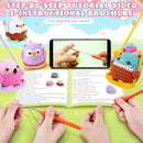 Crochet Kit for Beginners -4 PCS Bird Crochet Kits with Step-by-Step Video Tutorials, Beginner Crochet Kit for Adults and Kids, Crochet Birds On The Swings(Mallard Bald Eagle Flamingo Owl) by TinyTreasures Baby Boutique