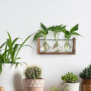 YIBOT Plants Propagation Stations,Plant Terrarium with Wooden Stand Wall Hanging Glass Planter Plant Propagation Vase for Indoor Office Home Garden Decor Plant Lover Gifts for Women by CozyNest Decor