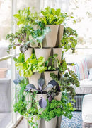 Greenstalk Patented Large 5 Tier Vertical Garden Planter with Patented Internal Watering System Great for Growing a Variety of Strawberries, Vegetables, Herbs, & Flowers (Stunning Stone) by GreenHaven Gardens