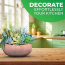 Premium Assorted Artificial Succulent Collection - Large Real Touch Artificial Cactus, Aloe Vera & Succulent Plants Artificial with Pots for Home Office Indoor (Artificial Coconut Shell - Pot) by CozyNest Decor