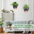 10 Inch Hanging Planters for Indoor Plants, 2 Pack Self Watering Hanging Baskets Flower Pots with Drainage Hole, Visual Reservoir & 2 Kinds of Plant Hanger for Outdoor Garden Home Decor（Black） by GreenHaven Gardens