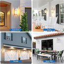 VIANIS Motion Sensor Outdoor Exterior Light Fixture, White Outdoor Porch Lights Wall Mount, Waterproof Dusk to Dawn Coach Lantern, Modern Outdoor Lights Fixtures for Garage, Front Door by GreenHaven Gardens