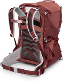 Osprey Poco LT Lightweight Child Carrier Backpack - Compact, Travel-Ready Kid Carrier with Sunshade and Adjustable Fit - Lightweight, Comfortable Hiking Carrier for Toddlers by TinyTreasures Baby Boutique