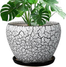 Ceramic Planters for Indoor Plants - 10 Inch Plant Pot with Drainage Hole and Saucer, Large Flower Pot for Home Decor, White/Black by GreenHaven Gardens