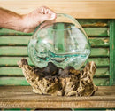 Cape Craftsmen 10" H Hand-Blown Blue Tinted Bubble Glass On Natural Teak Driftwood Terrarium | Home Décor Indoor Planter with Stand | Pot for Succulent and Plants by GreenHaven Gardens