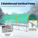 KING BIRD Premium 25x10x6.6FT Greenhouse for Outdoors, Large Walk-in Heavy Duty Galvanized Steel Frame, Mesh Door Screen Window Upgraded Zipper Tunnel Hoop for Garden Plant Winter, Green by GreenHaven Gardens