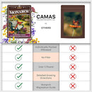 Monarch Butterfly Garden Kit with Milkweed Seeds–Perennial Flower Seeds to Plant Outside| 1/4 Pound Pure Bulk Wildflower Seeds | Garden Seeds for Attracting Pollinators | Seed Packets for Spring/Fall by TinyTreasures Baby Boutique