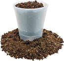 Money Tree Potting Soil - 20 Quart - Soil Mix for Planting or Repotting Guiana Chestnut, Soil Blended to Properly Grow Money Tree Plants (4 Bags of 5 Quart) by GreenHaven Gardens