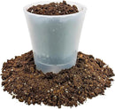 Money Tree Potting Soil, Soil Mix for Planting or Repotting Guiana Chestnut, Soil Blended to Properly Grow Money Tree Plants - (5 Quart Bag) by GreenHaven Gardens