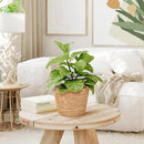Woven Straw Flower Pot Seagrass Planters Basket Garden Plant Pot Containers Wicker Rattan Vase Sundries Organizer Storage Bins for Indoor Outdoor Plants by CozyNest Decor