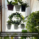 Hanging Clear Window Plant Shelves, Height Adjustable Acrylic Window Plant Hanger, 3-Tier Sturdy Window Sill Plant Shelf for Indoor Window Grow Herbs, Succulents, Flower by GreenHaven Gardens