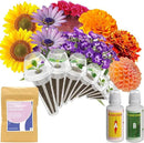inbloom Fragrant Bouquet Seed Pod Kit for AeroGarden, iDoo, Ahopegarden, GARDENCUBE, 7 Pods (350+ Flower Seeds with Sunflower, Petunia, Mexican Marigold, Cockscomb, French Marigold, Dahlia) by GreenHaven Gardens