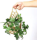 2PK Wall Planters for Indoor Plants, Macrame Plant Hanger | Wall Planter, Plant Hanger, Hanging Planter (2PK, for 6 inch Pot) by CozyNest Decor