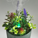 Earnest Living Essential Oil Diffuser Ceramic Artificial Succulent Plants Potted Diffuser 100 ml for Lavender Essential Oils Timers Night Lights and Auto Off Humidifier Aromatherapy Diffusers for Gift by TinyTreasures Baby Boutique