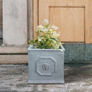 Kante Square Lion Head Concrete Planter, Classic English Style Plant Pot with Drainage Hole and Rubber Plug for Indoor Outdoor Garden Patio Home, 10.2"x10.2"x 10.2" Antique Gray by GreenHaven Gardens