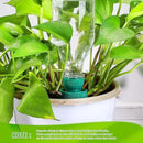 Patelai Terracotta Plant Watering Spikes Self to Use with Cola Bottles Houseplant Watering Stakes Automatic Irrigation System(25 Pack,Terracotta) by GreenHaven Gardens