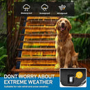 SOLPEX Solar Step Lights for Outside, 24 LEDs Solar Stair Lights Outdoor Waterproof Decor for Porch, Front Door, Stair, Step, Deck, Fence, Balcony, Patio, Wall, Yard, Garden(12 Pack, Warm White) by GreenHaven Gardens