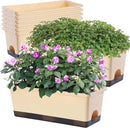 Window Box Planter 8 Pcs, 17 Inches Rectangle Flower Pots with Drainage Holes and Trays, Vegetable Planters for Windowsill Patio Garden Balcony Home Porch Yard Indoor Outdoor (Barley Yellow) by GreenHaven Gardens