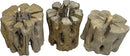 3 Natural Cholla Wood Air Plant Display Holders 2 inch Individually Unique Round Decorative Stands by GreenHaven Gardens