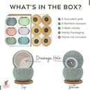 3 inch Ceramic pots for Plants, Small Succulent Pots Set with Drainage, 6 Pack Flower Pot for Indoor Plant, Decorative Planters for Little or Mini Cactus by GreenHaven Gardens