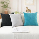 CaliTime Throw Pillow Covers Decorative 26 X 26 Inches Pack of 2 Cozy Chenille Cushion Cases for Couch Sofa Bed Living Room Home Lake Blue by CozyNest Decor