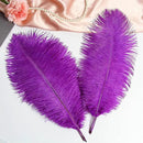 THARAHT Purple Ostrich Feathers 12pcs Large Natural Bulk 12-14Inch 30cm-35cm for Wedding Party Centerpieces Halloween and Decoration Feather by CozyNest Decor