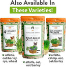 HOME GROWN Cat Grass Seed Mix – Non-GMO Oat, Alfalfa, Rye & Wheat Seeds for Cats | Indoor Pet Grass with Fast Germination | Digestive Aid, Hairball Relief & Safe Chew Alternative by GreenHaven Gardens
