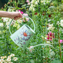 Berry&Bird House Plants Watering Can - Indoor&Outdoor 1/2 Gallon Stainless Steel Water Can with Long Spout Garden Decoration for Flower Bonsai Succulent Gardening Large Water Bottle (Bellis Perennis) by GreenHaven Gardens