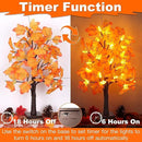 2 Pack 24 Inch Prelit Fall Maple Tree Fall Decor with 48 LEDs Timer Battery Operated Artificial Fall Light Up Tree Maple Acorn for Fall Thanksgiving Decorations Table Home Office Indoor Autumn Harvest by CozyNest Decor