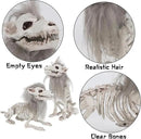 DR.DUDU 2 Pack Halloween Skeleton Wolf Decorations, Life Size Animals Skeletons Poseable Halloween Decor Plastic Bones with Hair Wolf Skull Figurines for Table Yard Lawn Party Props Décor by CozyNest Decor