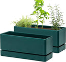 D'vine Dev 12 Inch Window Box Planter, Rectangle Plastic Herb Planter with Drainage Holes and Saucer, Indoor Succulent Cactus Vegetable Pot for Windowsill, Garden Balcony, Green, Set of 2, 76-X-C-2 by GreenHaven Gardens