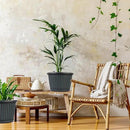 10 Inch Planter-Pots-for-Plants-Indoor-Outdoor, 4 Pack Plastic Flower Pots with Saucer & Drainage Holes, Modern Decorative Resin Garden Pots by CozyNest Decor