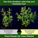 10-10-10 Fertilizer for All Purpose Plants - Liquid Fertilizer with Seaweed Kelp&Iron - Plant Food Outdoor & Indoor Plant Food, Vegetables, Flowers, Lawn & Garden 10 10 10 Fertilizer 1x8oz by GreenHaven Gardens