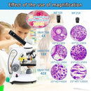 40X-2000X Microscopes for Kids Students Adults, with Microscope Prepared Slides 30p, Microscope Accessories, Phone Adapter, Microscopes for School Laboratory Home Education by TinyTreasures Baby Boutique