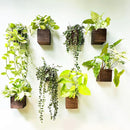 LaLaGreen Wood Planter Boxes for Plants (8 Pack, 4x4 Inch) Small Square Wall Mounted Planters for Indoor Plant, Herb Wooden Box Hanging Flower Pot Plant Holder Outdoor Fence Vertical Garden Home Decor