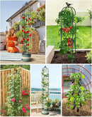 Garden Obelisk Trellis for Climbing Plants Outdoor 6.2 Ft Rose Bush Round Trellis for Pots Rustproof Metal Plant Flower Trellises for Clematis Vine Jasmine Support Outdoor Indoor (Black, 6.2ft) by GreenHaven Gardens