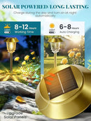 Solar Lights Outdoor Waterproof,4 Pack Gold Pathway Lights with 10-40 LM Dimmable Glass and Metal, Solar Powered Garden Decor for Yard,Patio,Pathway,Driveway(Warm White) by GreenHaven Gardens