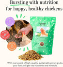 Grubblies - Black Soldier Fly Larvae for Chickens - Chicken Treats Grown in The US and Canada - for Strong Eggshells and Healthy Feathers - Grubblies Hometown Harvest 1LB by GreenHaven Gardens