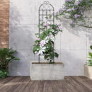LZRS 2 Pack 87x20in Rustic Iron Arch Decoration Garden Trellis with Black Metal Coating – Perfect for Supporting Climbing Plants Outdoor, Roses, Vines, Flowers, and Vegetables. by GreenHaven Gardens