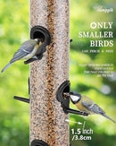 Bird Feeder Premium Hard Plastic for Wild Bird Feeders for Outdoors,Tube Bird Feeders for Outdoors Hanging,14 Inch 6 Port Black,Pack of 1 by CozyNest Decor