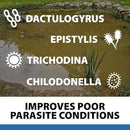 CrystalClear ParaSalt Outdoor Pond & Water Garden Rock Salt Crystals, Anti Fish Parasite, Beneficial Stress Reducing & Slime Coat Treatment, Natural Aquatic Additive, Koi, Plants & Pet Safe, 20 lbs by GreenHaven Gardens